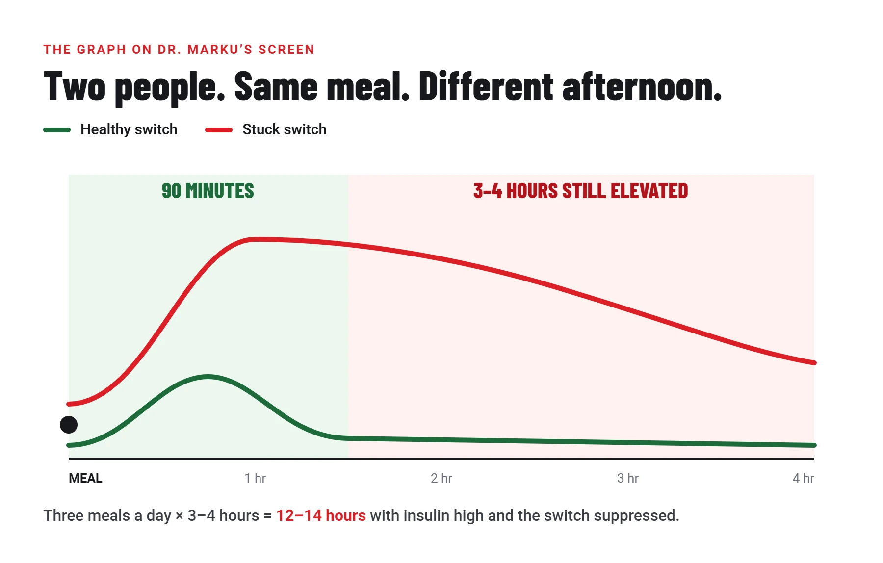 Graph: after the same meal, a healthy switch returns blood sugar to baseline within 90 minutes, while a stuck switch stays elevated for 3 to 4 hours