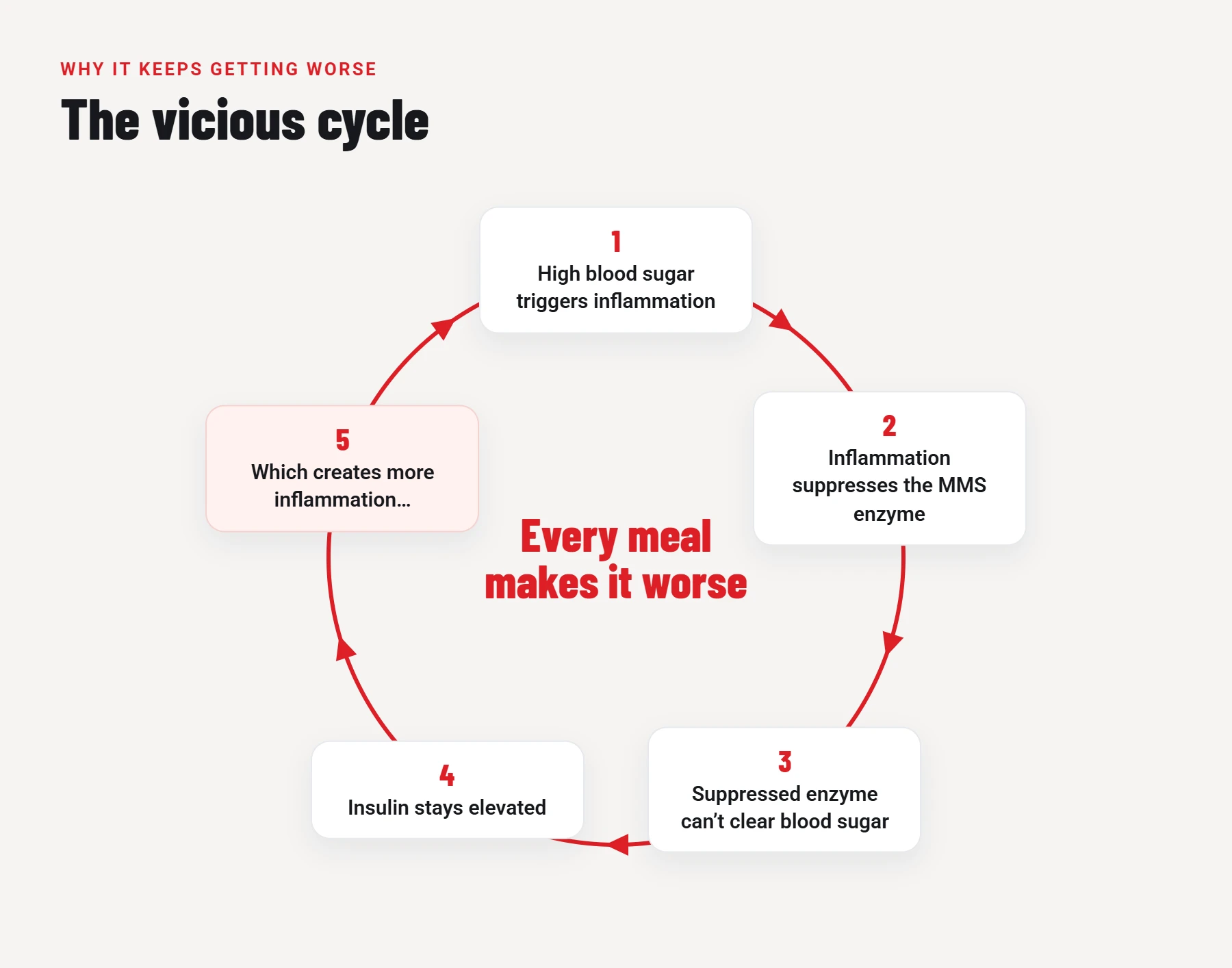 The vicious cycle: 1. High blood sugar triggers inflammation. 2. Inflammation suppresses the MMS enzyme. 3. Suppressed enzyme can’t clear blood sugar. 4. Insulin stays elevated. 5. Which creates more inflammation.